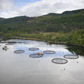 The trade body says the report comes amid calls for an overhaul of the 'cluttered' regulatory and planning system for salmon farming. Picture: Robert Paterson.