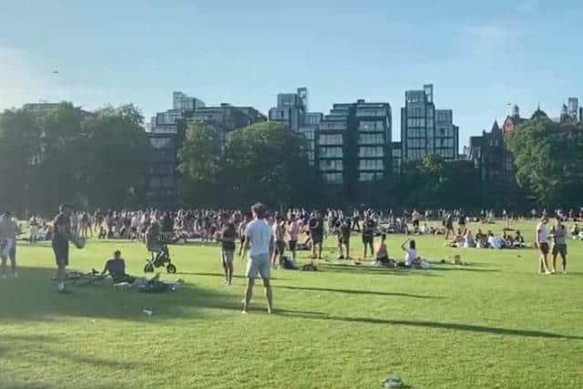 Crowds flocked to The Meadows in June