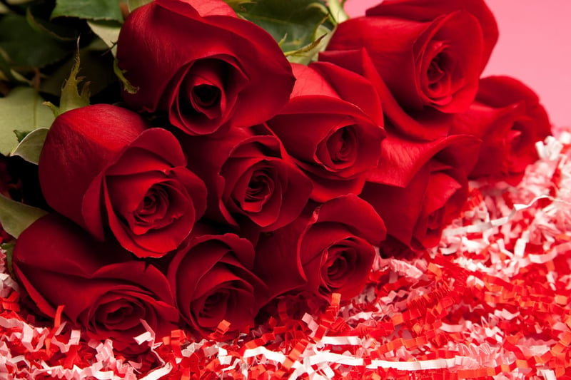 Nothing says romance like a dozen red roses, but be aware that thorns can get stuck in curious paws, mouths and noses if not kept out of the way on a high shelf.