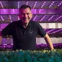 David Farquhar, CEO of vertical farming company Intelligent Growth Solutions
