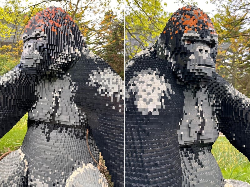 As you venture around the interactive trail you will come across two large gorilla sculptures - the models took 167 hours to build and weigh 158kg - just 10kg less than an average adult male