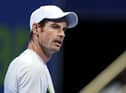 Andy Murray says he understands why it's really hard for Wimbledon to make a call. Picture: Mohamed Farag / Getty