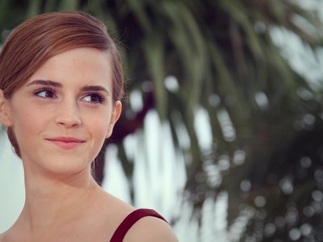 In 2008, the Harry Potter star received straight As in English literature, geography and art (Photo: Shutterstock)