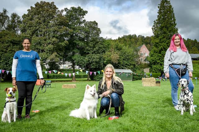 Poppet meets her rivals, Picco and Miller in episode one of Scotland's Best Dog