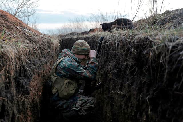 A cat looks down at a Ukrainian soldier sheltering in a trench on the frontline with Russia backed separatists near Krasnogorivka village, Donetsk region in February last year (Picture: Anatolii Stepanov/AFP via Getty Images)