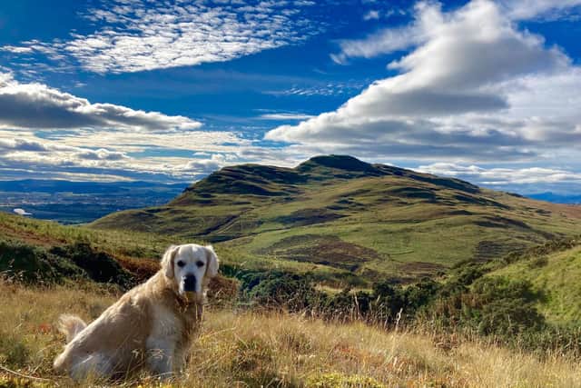 Marty loves nothing better than a day out in the hills
Pic: VSS