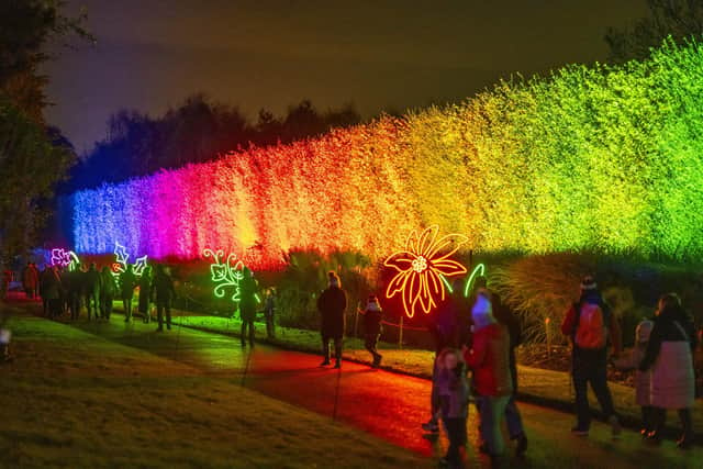 Christmas at the Botanic 2023

Rainbow Hedge is a towering  showstopper at Christmas at the Botanics 2023. Photo by Phil Wilkinson/Christmas at the Botanics
