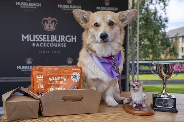 Georgie with her cup and trophy after winning the first ever Corgi Derby.