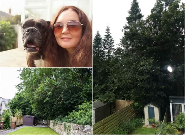 Gill Henderson (top left) has safety concerns about the trees overhanging her garden (right) at the boundary wall. Neighbour Hugh Stewart also raised concerns about the overhanging trees in his garden (bottom left). Pictures: Supplied/Lisa Ferguson