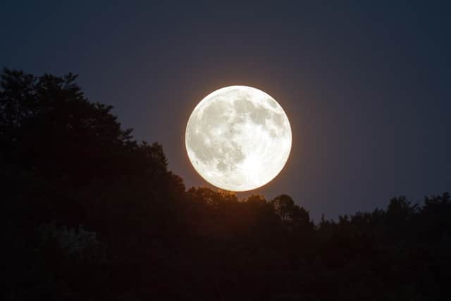 Full moons are when the moon is most illuminated by the Sun. Photo: kasububu / pixabay / Canva Pro.