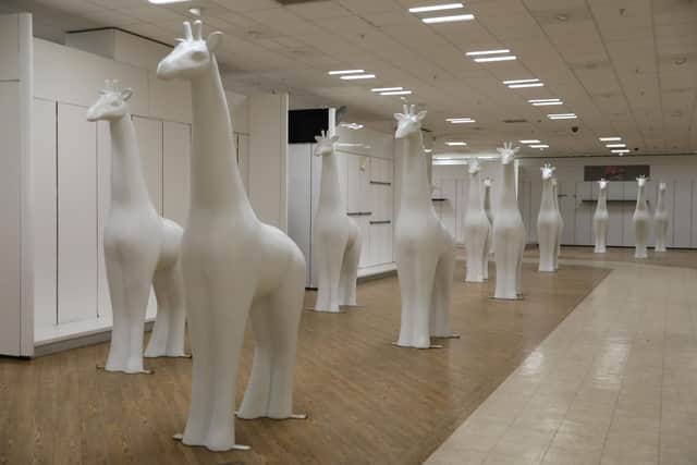 40 giraffe sculptures have arrived at Ocean Terminal ahead of the Giraffe About Town trail