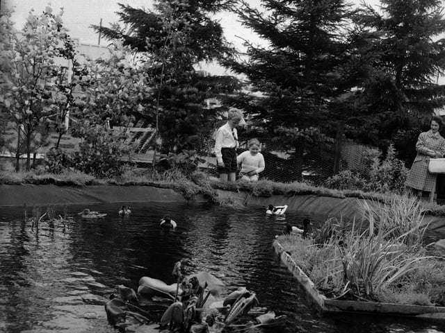 Children visit the Forestry Commission Stand at the 1965 Royal Highland Show.