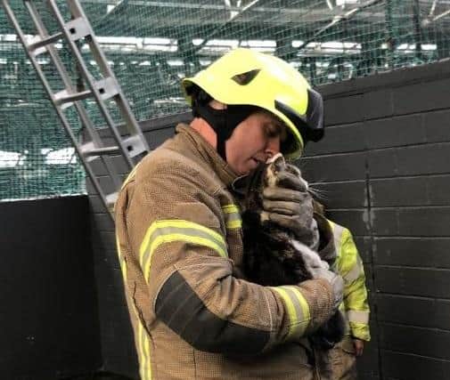 Firefighter Ryan MacDonald helped rescue pet cat Bella from the roof at World of Football.