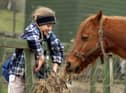 Seven-year-old Rosa Thuemmler, whose family recently moved from central Germany to Edinburgh, having fun at the Gorgie Farm.