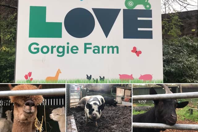 Gorgie Farm: Beloved city farm announces closing date due to 'serious financial challenges'