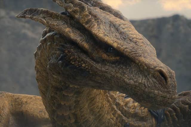 Syrax is Rhaenyra Targaryen's (Milly Alcock) dragon in House of the Dragon, HBO