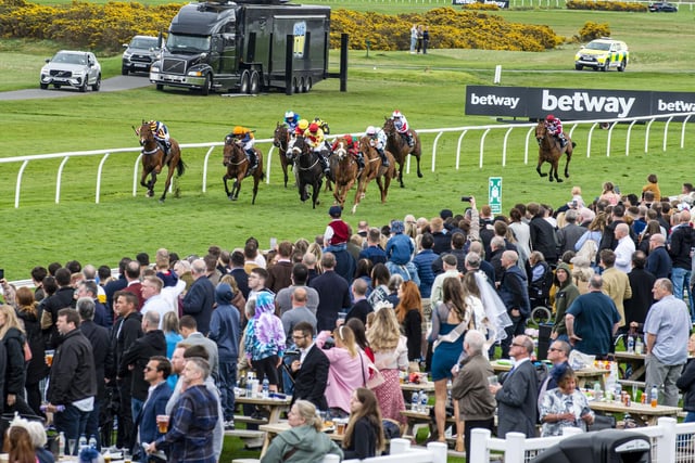 Racegoers cheer for their horses as they approach the finish line.