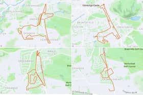 An enigmatic runner has spent his lockdown months running routes along Edinburgh’s streets that map the outlines of extraordinary animals on the exercise-tracking app, Strava.