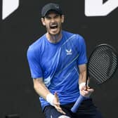Andy Murray celebrates defeating Nikoloz Basilashvili in Melbourne.