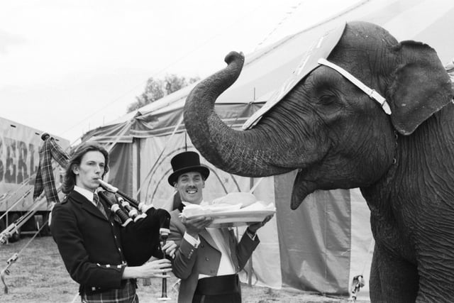 Continental Circus Berlin's ringmaster Chris Balthrop gives Rani the elephant a dish of haggis, her favourite food, at the ice rink in July 1992.