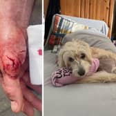 Lucy the Jackapoo and her owner were both badly injured in the dog attack at Meadow Park in Bathgate.