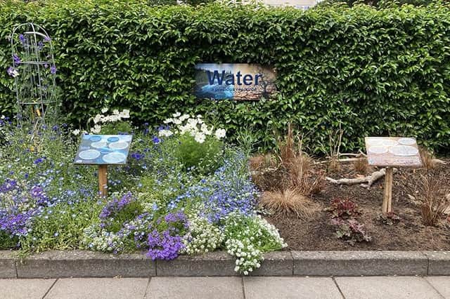 The community flowerbed in Linlithgow which highlights the impact of drought.