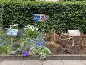 The community flowerbed in Linlithgow which highlights the impact of drought.