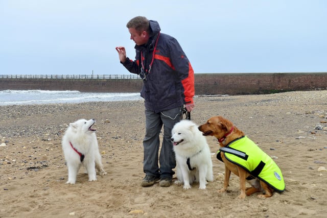 Dominic Hodgson from Pack Leader Dog Adventures with some furry friends at Roker.