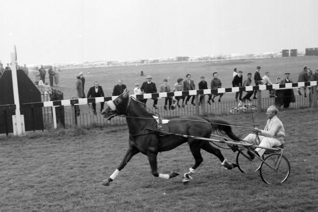 Calif winning the third heat during a trotting meeting on Musselburgh racecourse in August 1965.