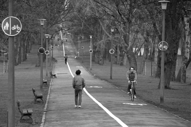 Here you can see the signs and painted white lines on Middle Meadow Walk to segregate pedestrians and cyclists. Year: 1983