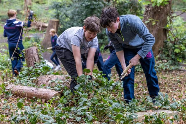 Fettes students help clear undergrowth at Warriston crematorium as part of the Big Help Out.