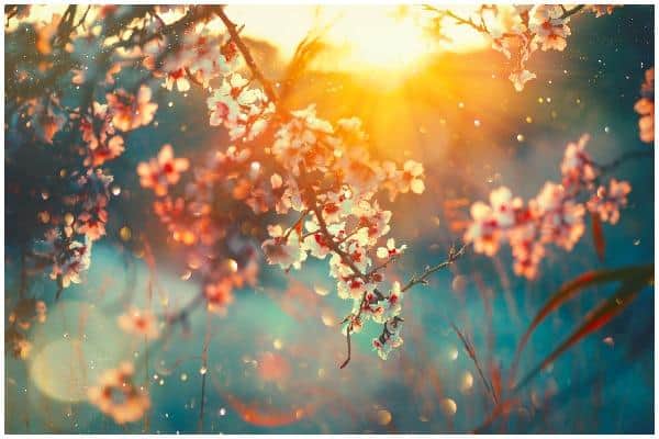 This year the spring equinox occurs on Friday 20 March. It marks the moment when the sun crosses the earth’s equator, and day and night become equal lengths of time.