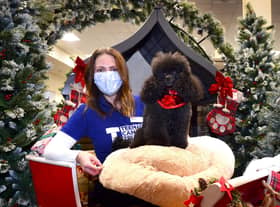 Grace Higgins, Senior Relationship Manager from TCT was invited to meet Freddie the Poodle, the star of the Dobbies’ Christmas advertising campaign, at Dobbies’ Santa Paws event