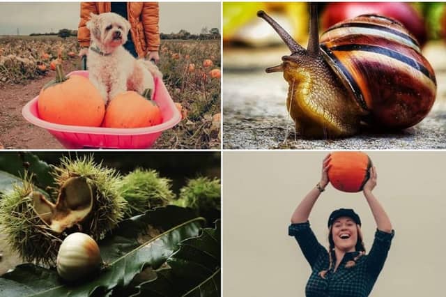 Click through this article to see photos from our Instagram this week.