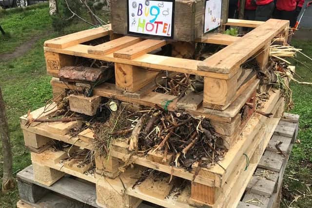 Towerbank Primary School's 'bug hotel' before it was ripped apart for bonfire fuel.