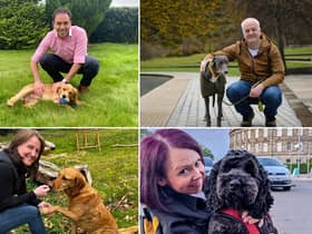 Who will triumph in this year's Holyrood Dog of the Year competition?