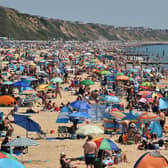 Britons will be able to go abroad on summer holidays next year, the Government’s coronavirus vaccine tsar has predicted.