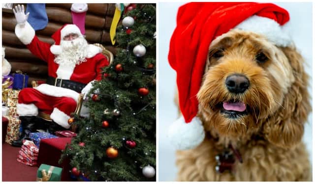 Families can now book in with their pet to visit the man himself at Santa Land, West Princes Street Gardens.