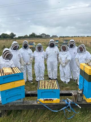 The Amazon team with the bee hives