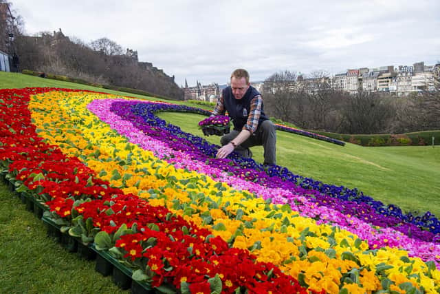 Beechgrove Garden presenter Brian Cunningham at the unveiling of the floral rainbow on The Mound in Edinburgh earlier this week. 




COVID 19, CORONA VIRUS - A display of hope and encouragement by the Scottish Horticultural Industry.



DRAFT         Press release …. Embargoed until 23rd March 2021.



A display of hope and encouragement by the Scottish Horticultural Industry.  A 20m floral rainbow on The Mound, Edinburgh Old Town



A 20m floral rainbow on The Mound, Edinburgh Old Town



Message: A vision of hope… with spring just around the corner, now is the time to get out for some fresh air, exercise, and positive “head space” in your garden. Improve your health and wellbeing in your green space.  The floral Rainbow is an initiative by the Scottish Industry as the nation reflects on the past and looks forward to a more positive future. 

This a Scottish initiative by Scottish growers on behalf of the Scottish Horticultural Industry, for the people of Scotland… let’s get out and garden: 

1. Health and Wellbeing: Gardening brings well documented and significant benefits to mental health and well-being. People want and need access to garden plants and products as they make plans for the season. Last year nearly 90,000 more people took up gardening in Scotland as a way to keep busy, stay healthy and stay at home. We are increasingly realising how important gardens and plants are to people’s mental health and physical wellbeing.

3. Safe Trading environment: Garden centres are spacious, well ventilated with large outdoor areas. They have enhanced Safe Trading Protocols written by the Horticultural Trades Association to ensure shoppers and staff are always kept safe. To further support this, garden centres will implement “Shop & Go” style visits. YouGov Polls show consumers have the highest confidence in garden centres as safe environments to shop.

6. Contribution to Scotland The Scottish orn