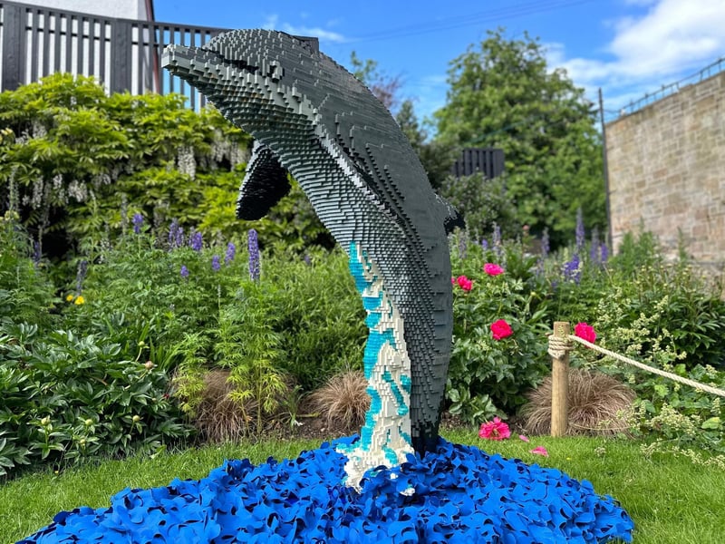 You'll find this incredible Bottlenose Dolphin model near the Penguin Cafe. Taking 84 hours to build, the model is comprised of 22,298 bricks