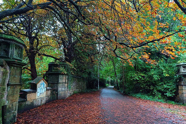 Get off the beaten track and take a stroll or cycle along the Water of Leith Walkway. This small river runs along some of the most scenic neighbourhoods in Edinburgh, including Stockbridge and Leith. Great place to take some colourful autumn photos.