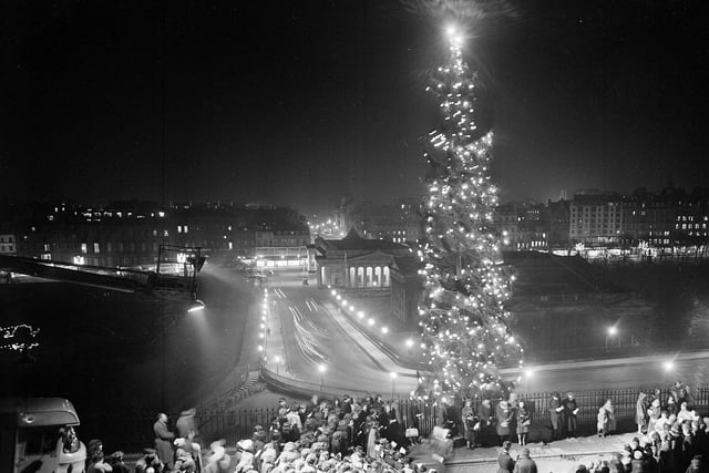 Christmas Tree at Mound, 1959.