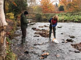 The Riverfly group carrying out sampling work at the Esk.
