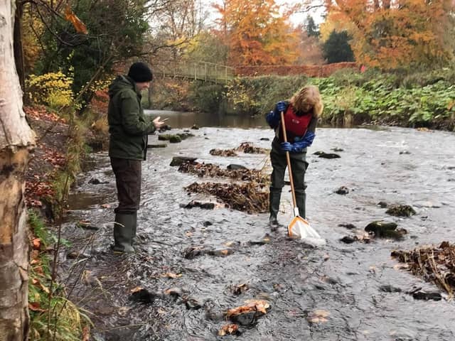 The Riverfly group carrying out sampling work at the Esk.