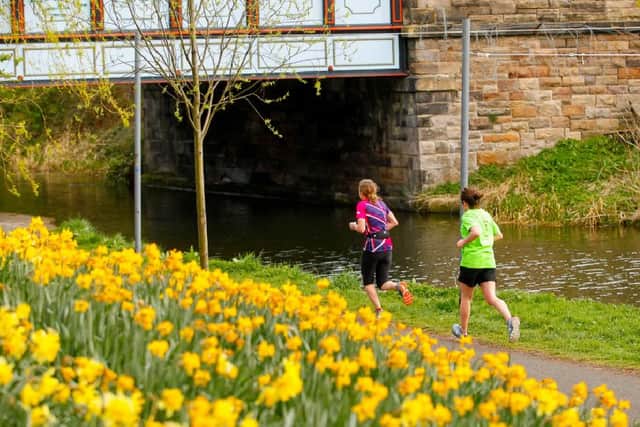 Runners down by the Union Canal in Edinburgh.