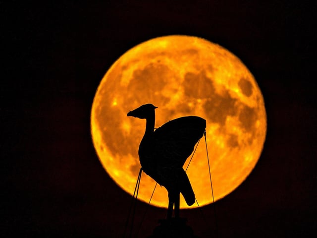 The first Supermoon of the year the Strawberry moon rises over Liverpool, Merseyside.The full moon appeared bigger than normal and sometimes slightly orange as it lit skies around the globe. Picture Peter Byrne