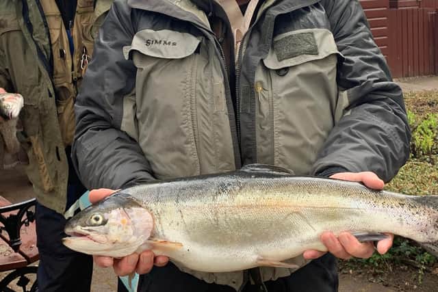 This 7.5lb rainbow trout was caught last Saturday at Linlithgow Loch.