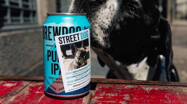 Street Dog is a limited edition beer which will showcase the four-legged friends