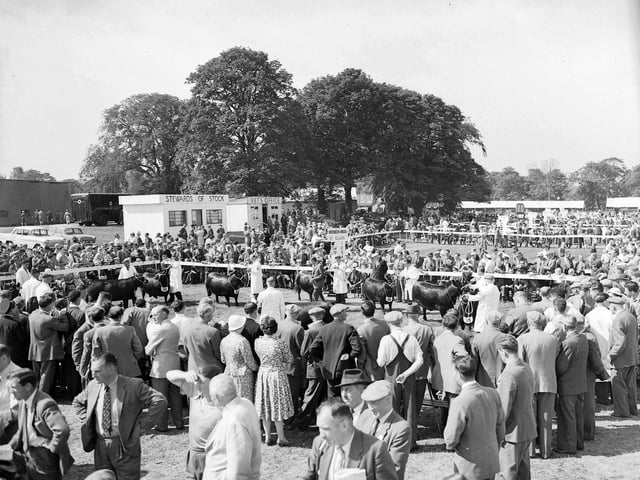 Crowds at the cattle judging at the 1960 Royal Highland Show.